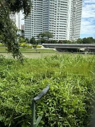 Kallang Place (D12), Factory #460976551
